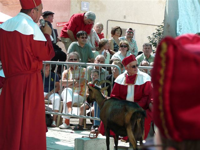 Les prétendants s’installent sur les gradins qui leur sont  réservés, sous l’œil de ma mascotte de Moncrabeau (le Mont des chèvres)