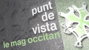 punt de vista